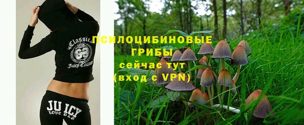 герыч Липки
