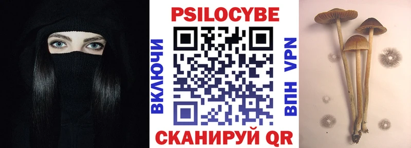 Купить где  Аксай  Псилоцибиновые грибы Psilocybine cubensis 
